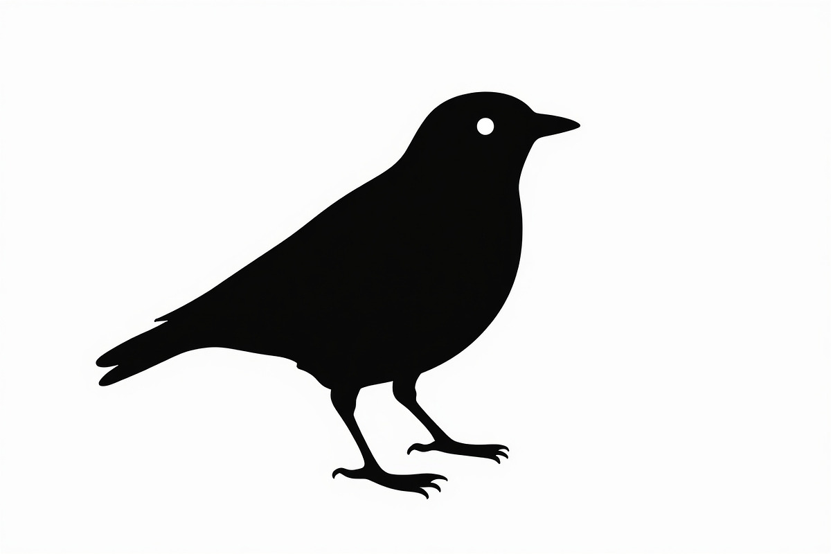 Bird Silhouette design bundle, an Illustration by BIPLOB EXPERT (Photo 9 of 13)