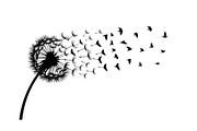 Dandelion Blow Silhouette Bundle, an Illustration by yasushie (Thumbnail 31 of 31)