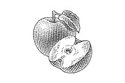 Green apple and apple tree leaf, a Food Illustration by Irina Trusova (Thumbnail 3 of 3)