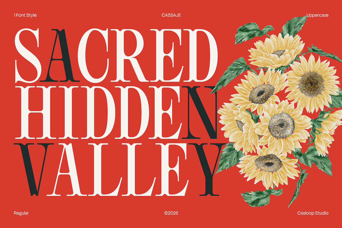 Cassaje – One Case Endless Presence, a Serif Font by Casloop Studio (Photo 4 of 10)