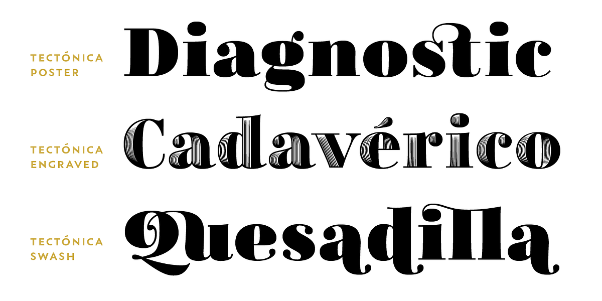 Tectónica, a Serif Font by Untype (Photo 9 of 14)