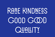 Forrest Gallery Modern Display Font, a Sans Serif Font by Lettertype Studio (Thumbnail 4 of 15)
