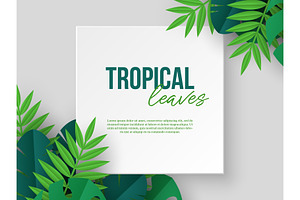 Set Of Designs With Tropical Leaves.