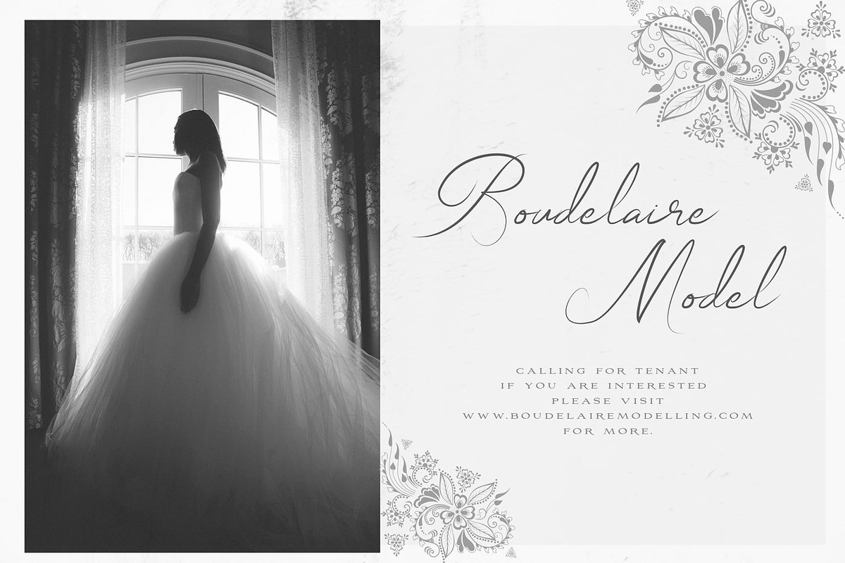 Wonderfull Font Collection, a Script Font by Chocotype Std (Photo 14 of 51)