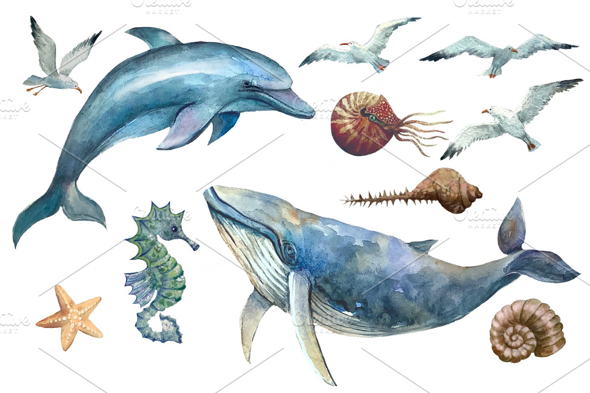 Watercolor nautical illustration, an Object Illustration by AkvarelRiver (Photo 3 of 18)