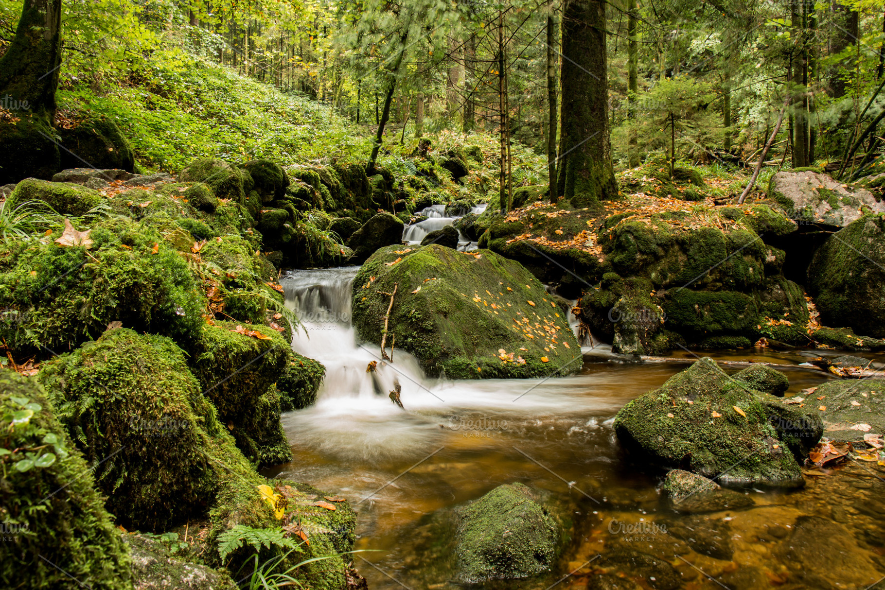 River with cascade in forest containing autumn, fall, and wood, a Nature Photo by ysajna