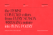 Thereon - Modern Romantic Serif Font, a Serif Font by VP Fonts (Thumbnail 8 of 21)