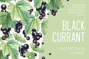 Black currant berry watercolor