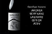 Okaeri - Japan Inspired Display Font, a Font by Struvictory.art (Thumbnail 5 of 8)