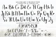 Quantum Quality, a Handwritten Font by FreshTypeINK (Thumbnail 4 of 8)