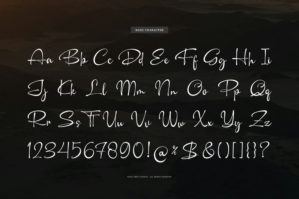 Camerelia Family | Signature Font, a Script Font by Denustudios (Photo 10 of 12)