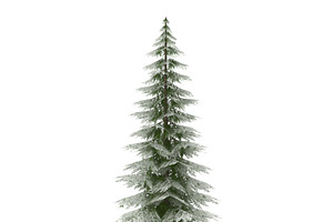 Canadian Spruce Tree Snow V1