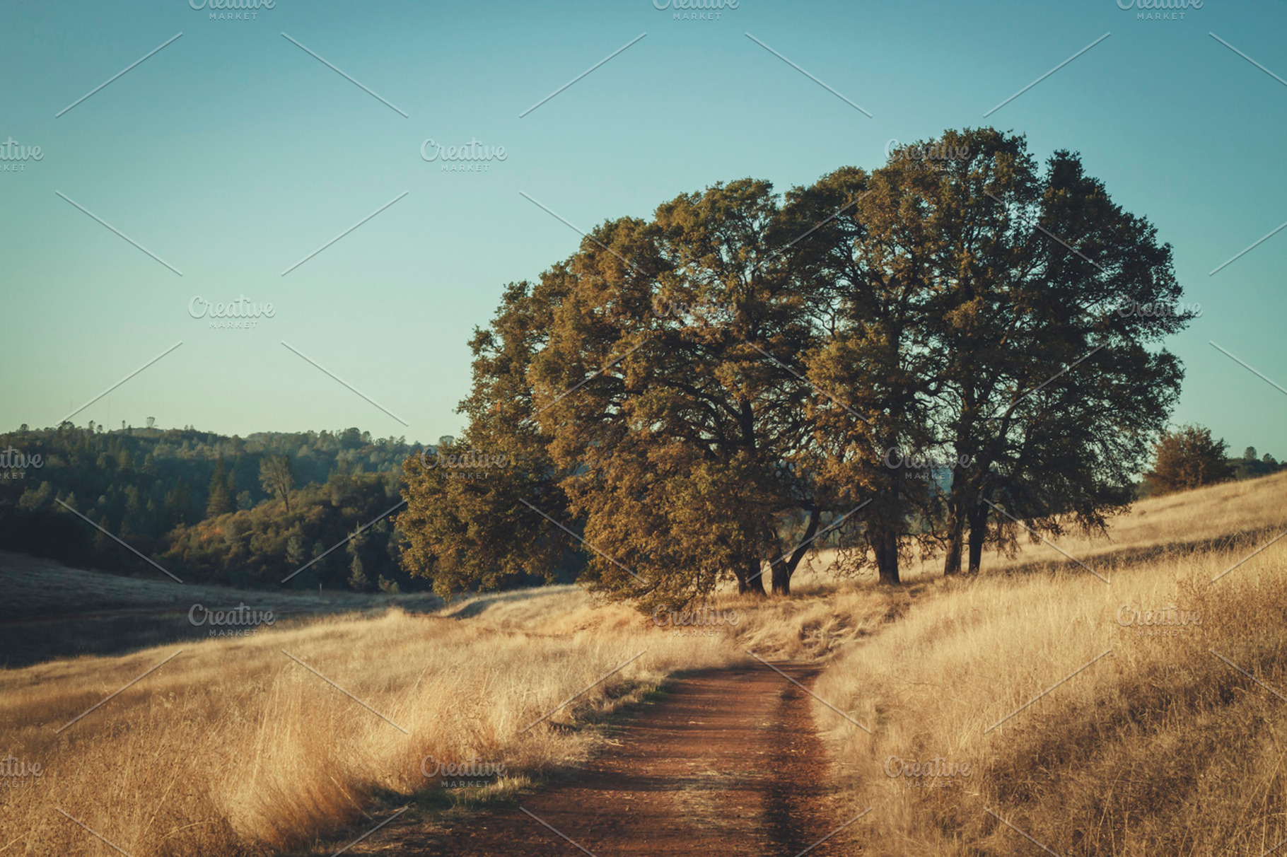 Cronan ranch trail 1 containing hills, california, and hike