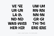 SALE! Brand Type - logo font, a Sans Serif Font by VP Fonts (Thumbnail 7 of 13)