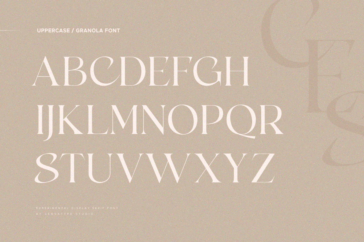 gemonica - experimental serif font, a Serif Font by Sensatype (Photo 15 of 17)