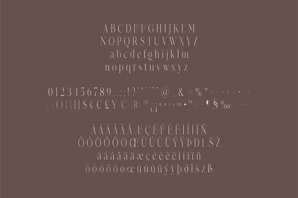 Felix - Condensed Display Serif Font, a Serif Font by Studio Aurora (Photo 6 of 10)