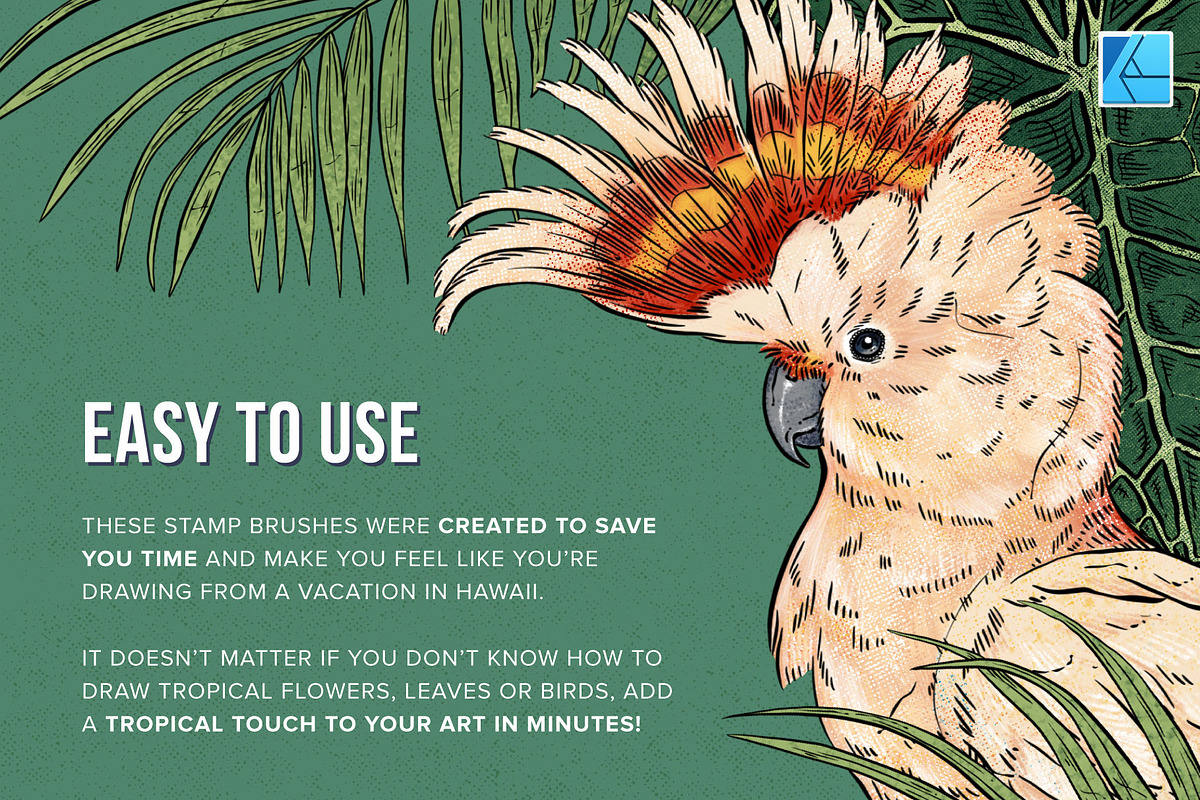 111 Tropical Stamps for Affinity, a Brush Add-On by Riveros Illustration (Photo 7 of 13)