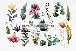 Watercolor Beautiful Botanicals