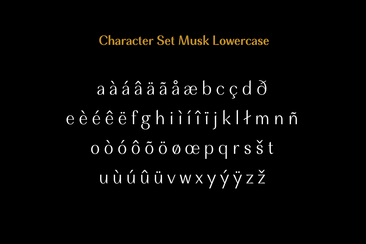 Musk Elegant Font Duo, a Sans Serif Font by Eko Bimantara (Photo 9 of 11)