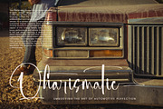 Michelyne Stylish Signature Font, a Script Font by stylishtype.co (Thumbnail 10 of 20)
