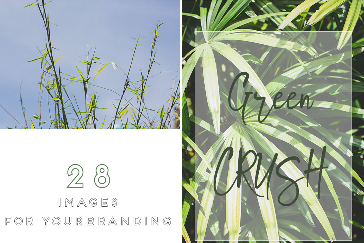 GREEN TROPICAL PLANTS, a Nature Photo by Beach Babe Stock (Photo 2 of 6)