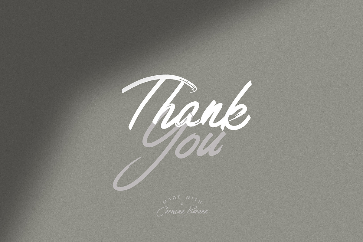 Carmina Burana - Grunge Brush Font, a Script Font by AndrewPixel (Photo 10 of 10)