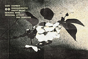 18-in-1 Old Photo Effects Bundle, a Layer Style Add-On by pixelbuddha.net (Thumbnail 21 of 21)