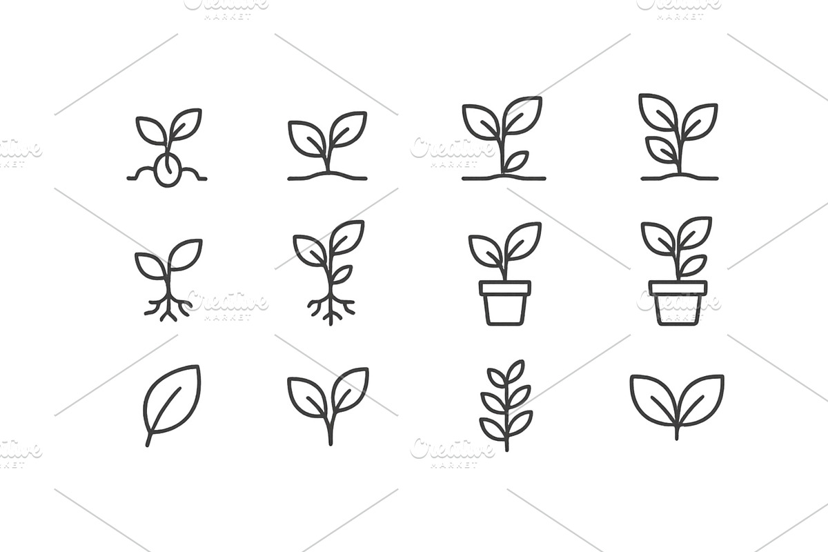 Vector illustration of plant growth, an Object Illustration by ZinetroN