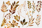 Botanical Bundle Nr 2 | Fall Edition, a Seasonal Illustration by Helga Wigandt (Thumbnail 2 of 9)