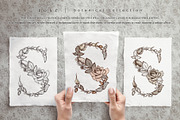 rose | botanical illustrations, an Illustration by Sophia J Caldwell (Thumbnail 18 of 23)