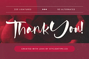 Fainter Bold Brush Font, a Script Font by stylishtype.co (Thumbnail 20 of 20)