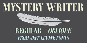 Mystery Writer JNL