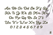 Radiant Retro Brush Font, a Script Font by Anomali Creatype (Thumbnail 2 of 10)