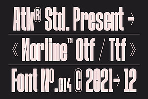 Norline - Font Family