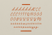 Sunday Melodia | Monoline Script, a Script Font by gracetype_studio (Thumbnail 12 of 12)