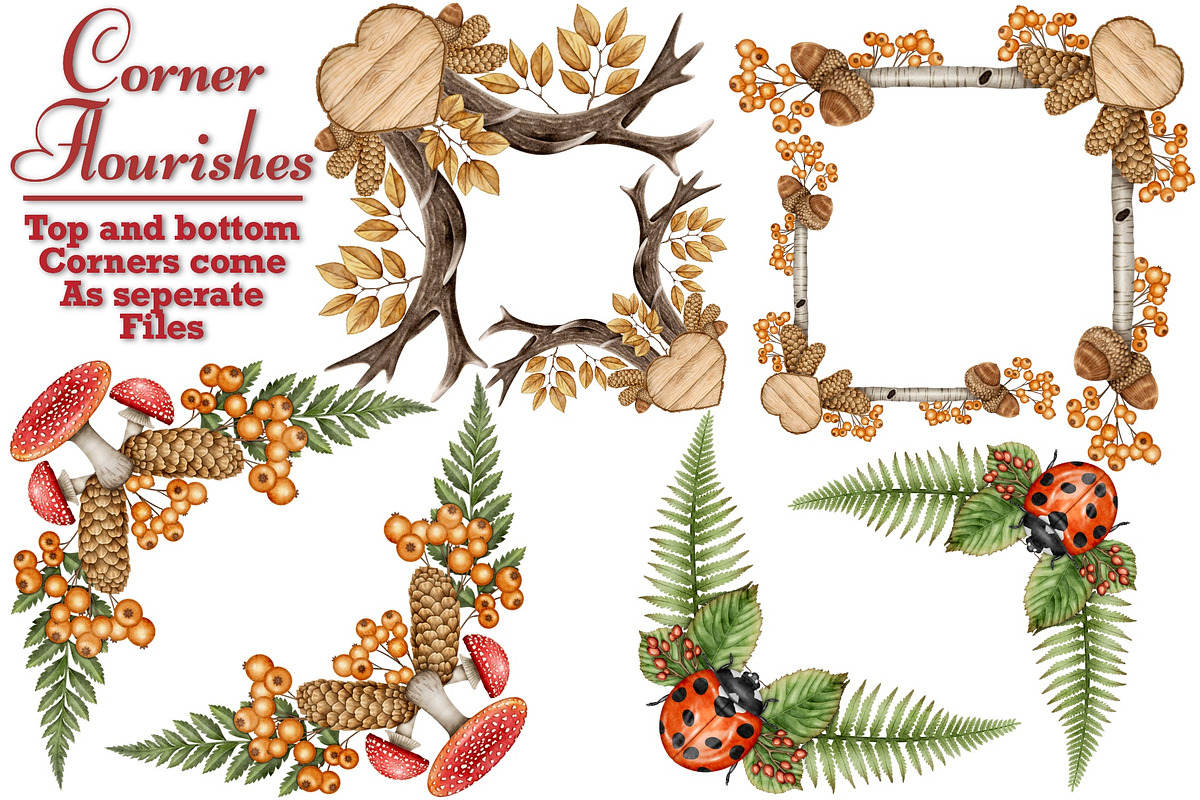 Forest Wonders Watercolor clipart, an Illustration by Happy Sloth Graphics (Photo 8 of 16)