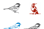 Dynamic Bird Illustrations Set, a Finance Illustration by CarWrap design (Thumbnail 1 of 3)