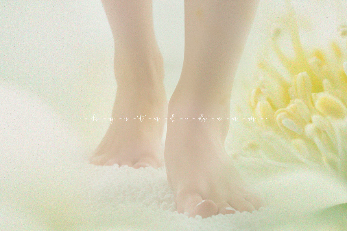 Hazy Botanical Vellum Backgrounds, a Graphic by DigitalDream (Photo 8 of 9)