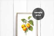 Framezilla Bundle. 55 Frame Mockups, a Mockup by Frisk Shop (Thumbnail 7 of 13)