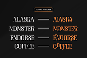 Zevant - Serif Font, a Serif Font by Grontype (Thumbnail 10 of 10)