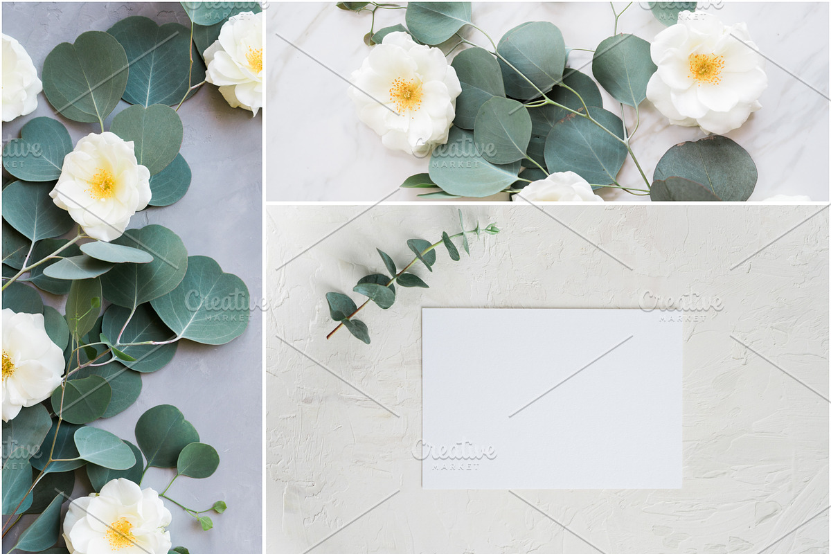 Eucalyptus Floral Mockup Bundle, a Social Media Template by LaPorte Images (Photo 4 of 14)