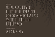 Maroon Black, a Serif Font by Nirmana Visual (Thumbnail 5 of 11)