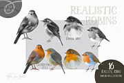 Realistic Robins Illustrations Set, an Illustration by White Lane Studio (Thumbnail 3 of 8)