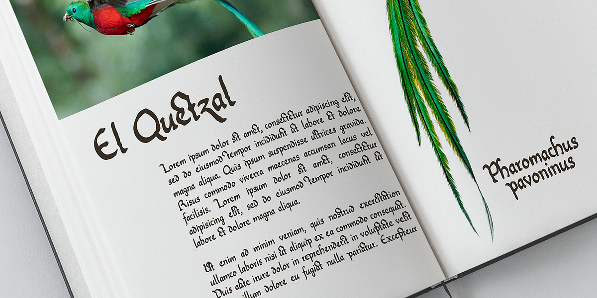 Estanica, a Serif Font by Ixipcalli (Photo 4 of 5)