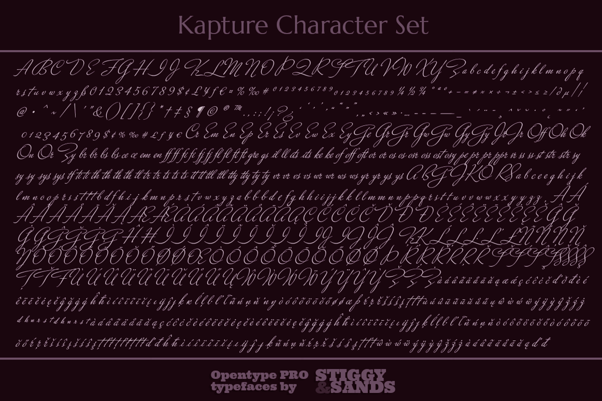 Kapture preview 5