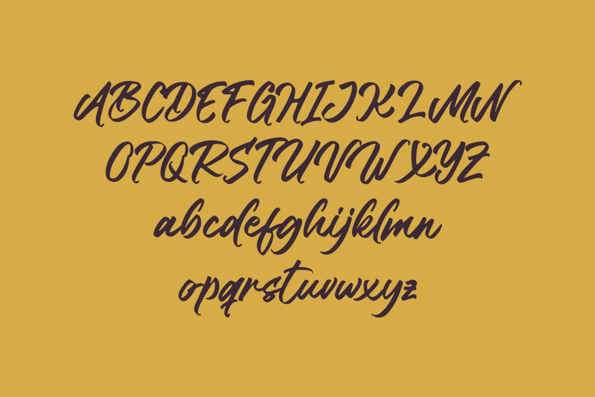 Mengko - Script Font, a Script Font by GFRcreative (Photo 5 of 8)