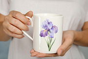 Iris Flowers, a Decorative Illustration by Vasmila (Thumbnail 6 of 9)