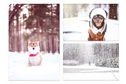 Winter Dog, Christmas Mood, an Animal Photo by WildStrawberry Magic (Thumbnail 5 of 11)