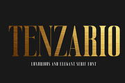 Tenzario | Elegant Serif Typeface, a Serif Font by Artdez (Thumbnail 1 of 5)