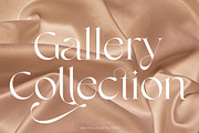 Shavina Elegance, a Serif Font by INKSUN™ (Thumbnail 6 of 12)